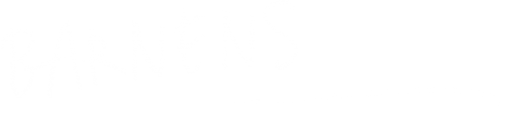 Text som lyder: BARNENS