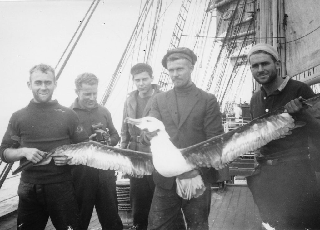 Fem män står på ett skeppsdäck och håller en stor albatross med utsträckta vingar.